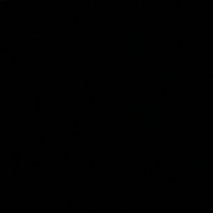 Meet your Posher, Genesis